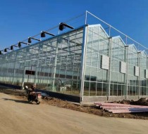玻璃大棚的設計要求